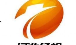 河北经济频道在线观看,河北经济频道在线观看全方位解析